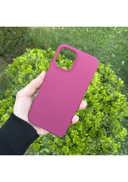 Apple iPhone 12 Pro Max Kılıf Lansman Premium Silinebilir Silikon