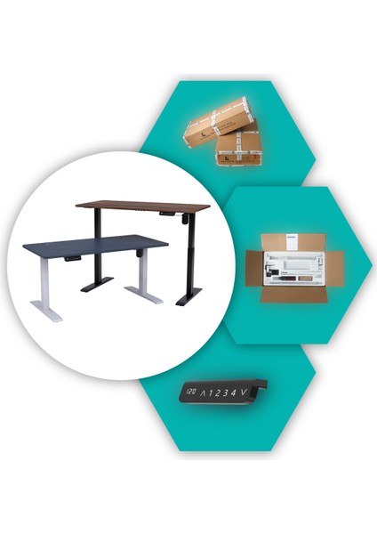 O-Flex Tek Motorlu Elektrikli Yükseklik Ayarlı Masa - 120x60 - Pasifik Mavi