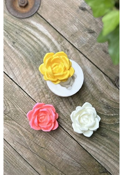 Laui Sukulent Mum Kalıbı fiyatları