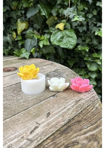 Laui Sukulent Mum Kalıbı modelleri