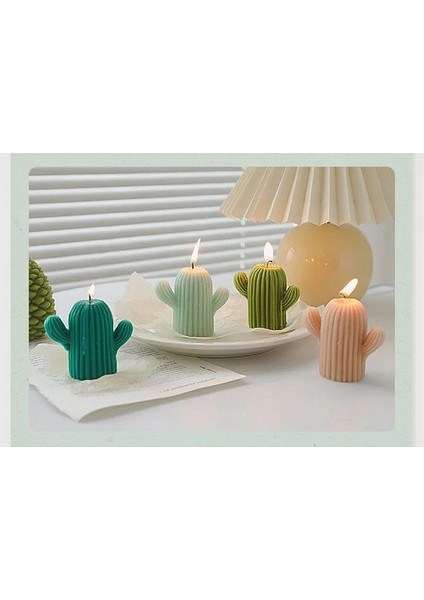 Kaktüs Sabun Kokulutaş Mum Kalıbı fırsatları