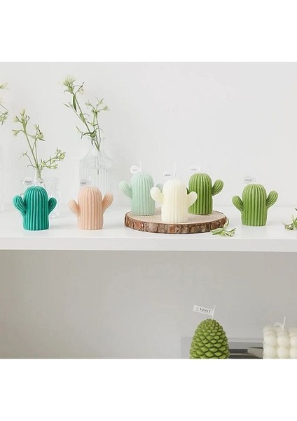 Kaktüs Sabun Kokulutaş Mum Kalıbı indirimleri
