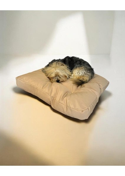 Pouch Ekru Kedi Köpek Minderi 65 x 65 cm