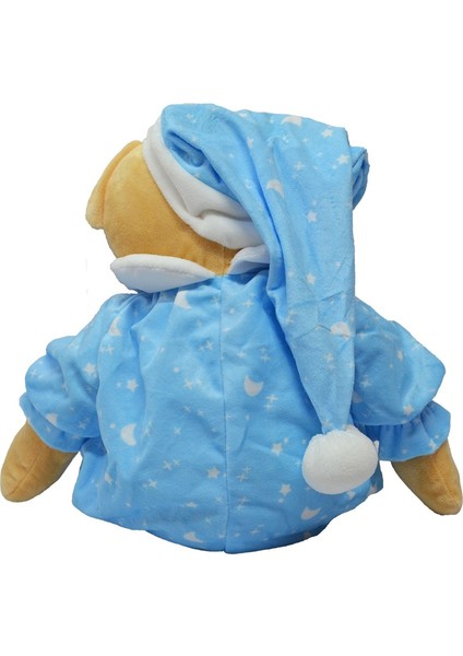 Uykucu Ayı Peluş 30 cm 62345 indirimleri
