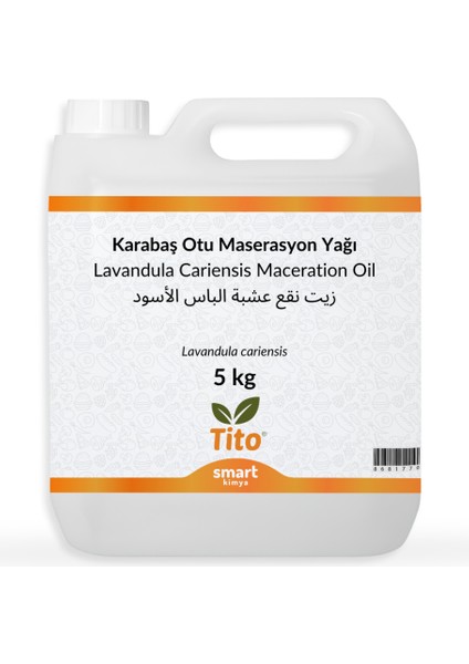 Karabaş Otu Maserasyon Yağı Lavandula Cariensis 5 kg
