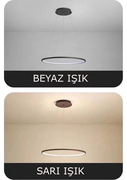 Round LED Siyah Avize LED Sarkıt Avize 3 Renk Yuvarlak Sarkıt LED Avize