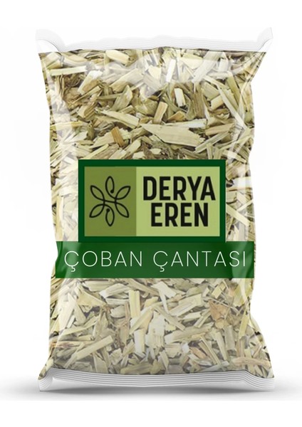 Çoban Çantası Capsella Bursa Pastoris 500 kg