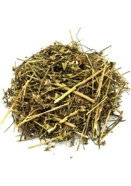 Çoban Çantası Capsella Bursa Pastoris 500 kg fiyatları