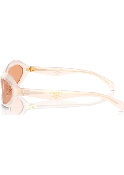 SPRA20 12V07V 61 Kadın Güneş Gözlüğü fiyatları