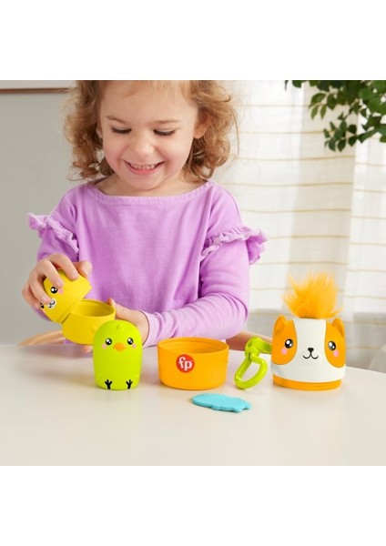 Fisher Price Taşınabilir Sevimli Dostlar HXP17