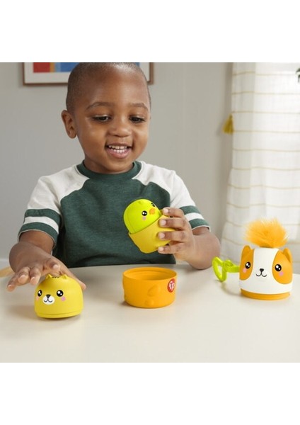Fisher Price Taşınabilir Sevimli Dostlar HXP17
