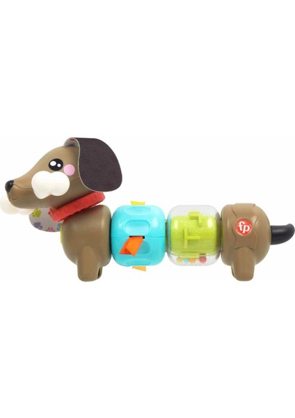 Fisher Price Köpekçikle Eğlenceli Aktiviteler HTW91