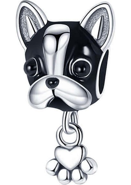 Köpek Charm