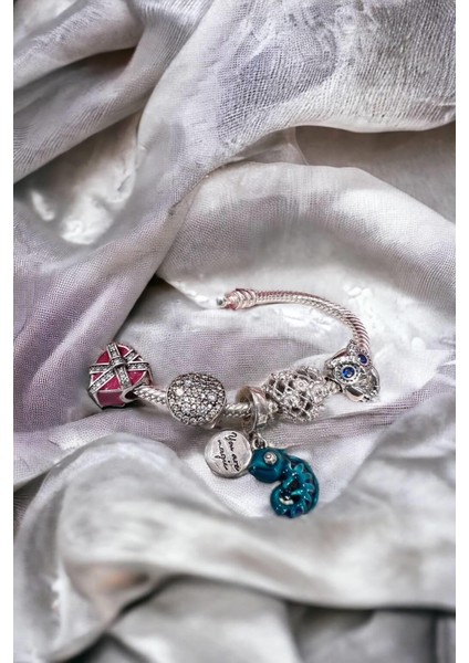 Bukalemun Charm fiyatları