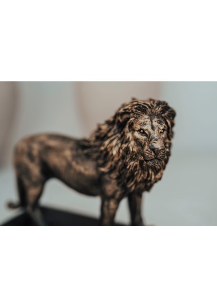 Aslan Biblosu Kaideli