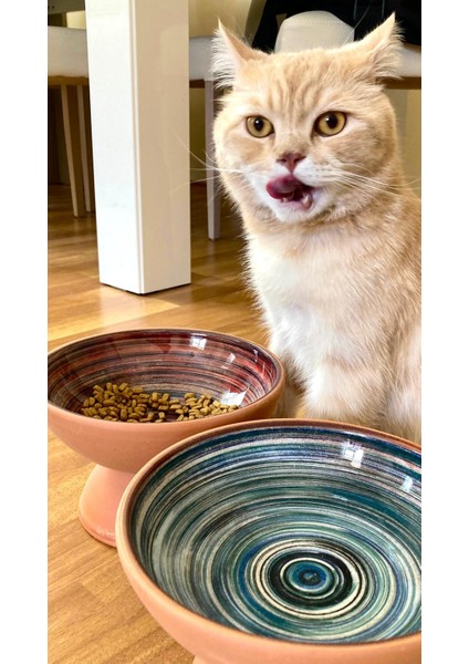 Çift Yönlü Büyük Boy 20 cm (Tekli)Doğal Çömlek Mama-Su Kabı