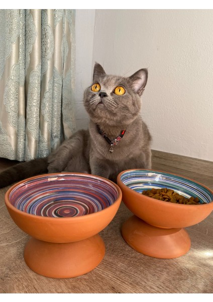Çift Yönlü Büyük Boy 20 cm (Tekli)Doğal Çömlek Mama-Su Kabı modelleri