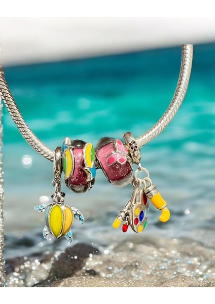 Palet Charm modelleri