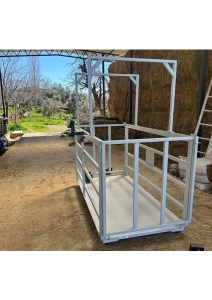 Eko 100X200 cm 1500 kg 500 gr Canlı Hayvan Baskülü fiyatları