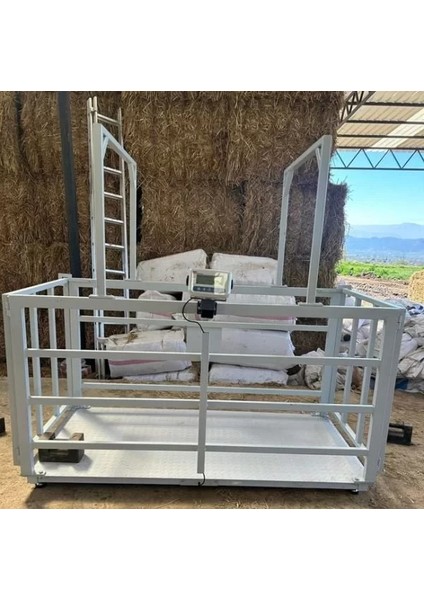 Eko 100X200 cm 1500 kg 500 gr Canlı Hayvan Baskülü modelleri
