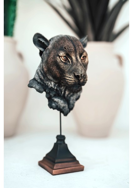 Dekoratif Puma Biblo Gerçek