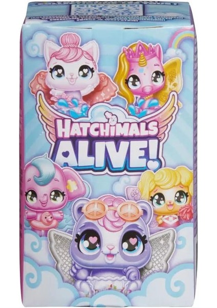 Alive Sürpriz Paket fiyatları
