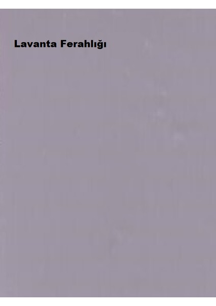 Pastel Yarı Mat Boyası Lavanta Ferahlığı 2,5 Lt (3,5 Kg) fiyatları