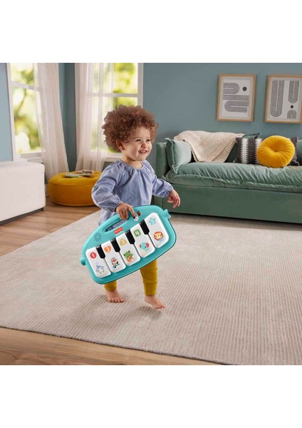 Fisher Price Fisher Price'tan Neşeli Hayvanlar Piyanolu Jimnastik Merkezi HWY49 indirimleri