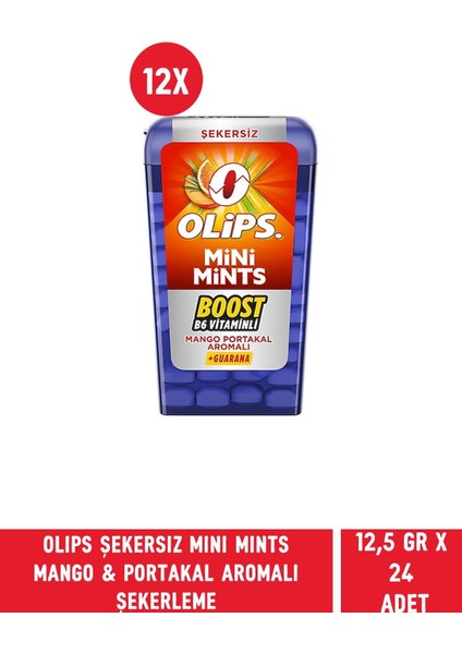 Şekersiz Mini Mints Mango & Portakal Aromalı Boost B6 Vitaminli Ferahlatıcı Şekerleme 12,5 gr x 12 Adet