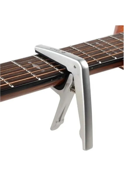 Gitar Kaposu Silver