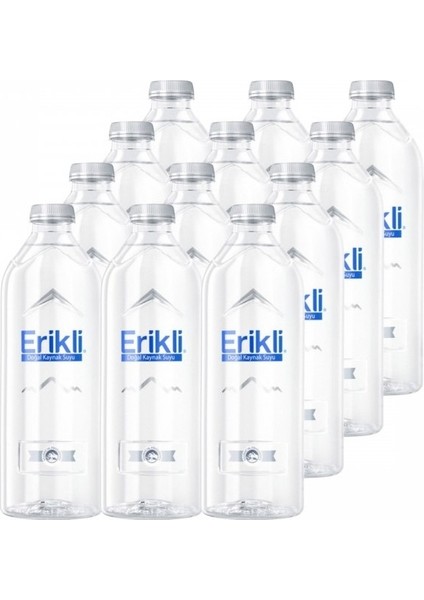 Premium Şişe 330 ml 48'li