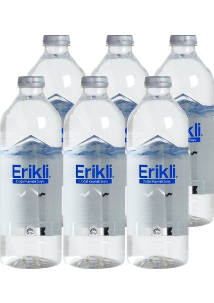 Premium 330 ml 48 Adet