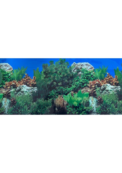Arka Fon (Bitkili Akvaryum Kayalı) 50 cm Uzunluk Yükseklik 50 cm No 9071