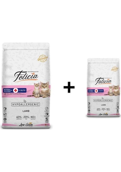 Kuzulu Yavru Kedi Maması 12 kg + 1 Adet Felicia Kitten Kuzulu Yavru Kedi Maması 2 kg