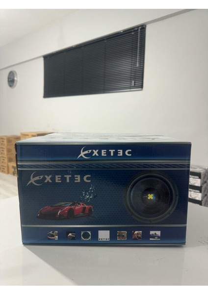 BHX-1012 1000RMS 30CM Subwoofer
