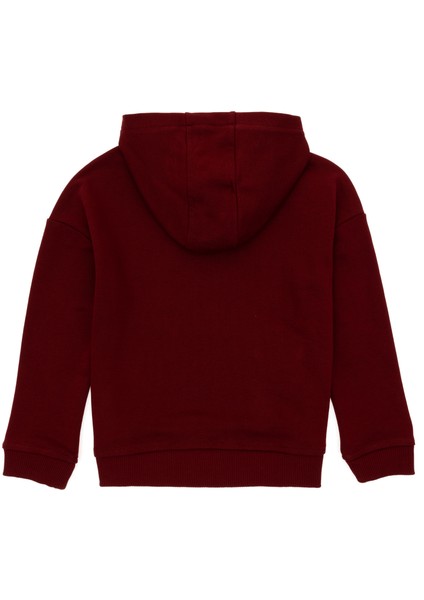 U.s. Polo Assn. Erkek Çocuk Bordo Sweatshirt 50298269-VR014