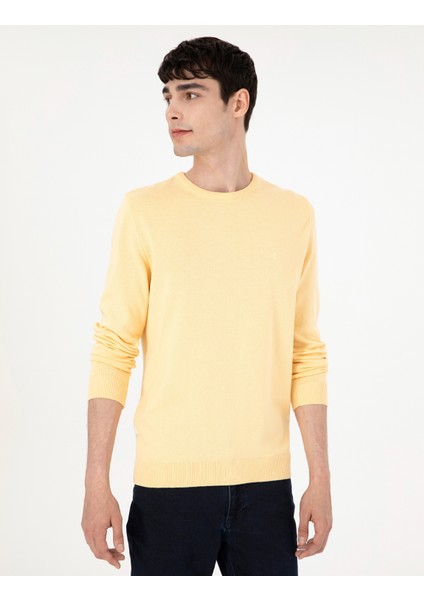 Erkek Açık Sarı Slim Fit Bisiklet Yaka Basic Triko Kazak 50296575-VR004 modelleri