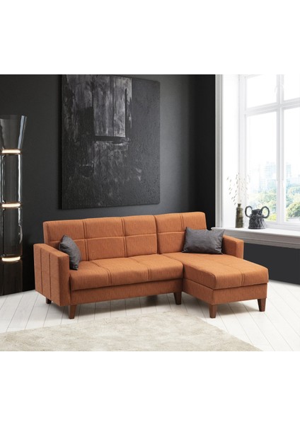 Polya Köşe Takım+Berjer-Kiremit 95+Kiremit fiyatları