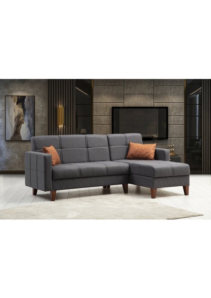 Polya Köşe Takım+Berjer-Koyu Gri 100+KIREMIT fiyatları