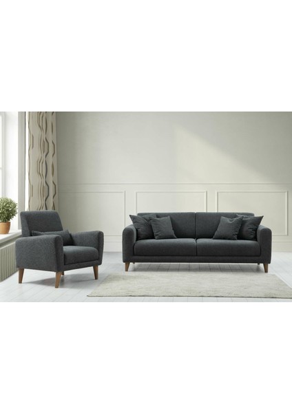 Sare 3+1 Berjer Koltuk Takım Koyu Gri