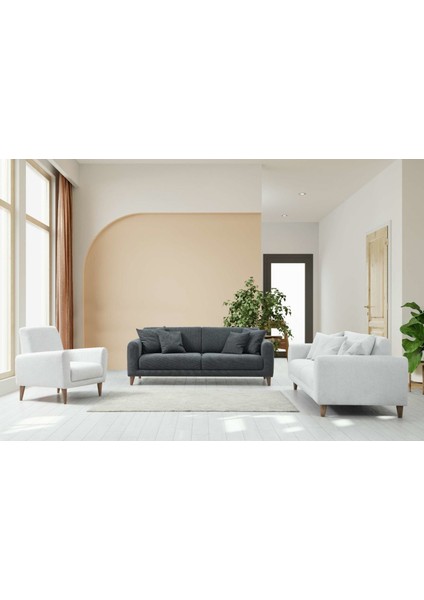 Sare 3+3+1 Berjer Koltuk Takım (Koyu Gri+Ares Byz)