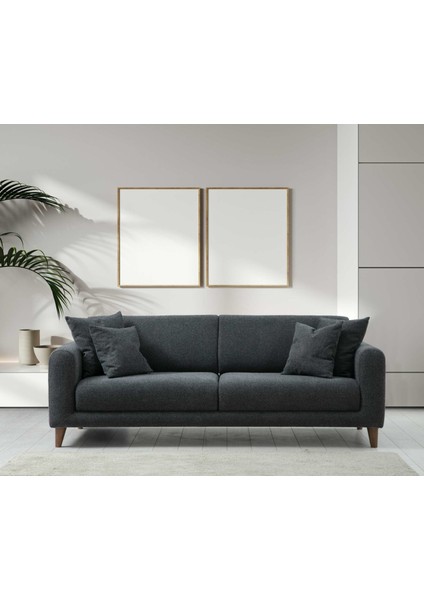 Sare 3+3+1 Berjer Koltuk Takım (Ares Byz+Koyu Gri) modelleri