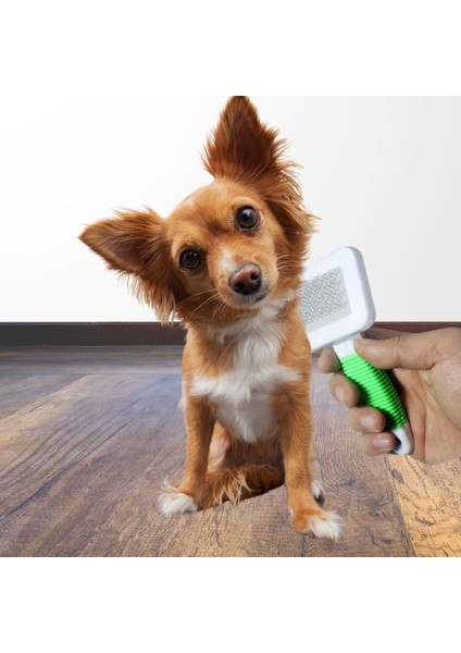 Kedi Köpek Telli Küçük Boy Tüy Bakım Seti Evcil Hayvan Tarama Fırçası (4738)