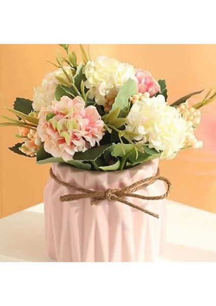 Şeker Renkler Dekoratif, Hediyelik 4'lü Sukulent ve Kaktüs Saksı Seti, Sunumluk fiyatları