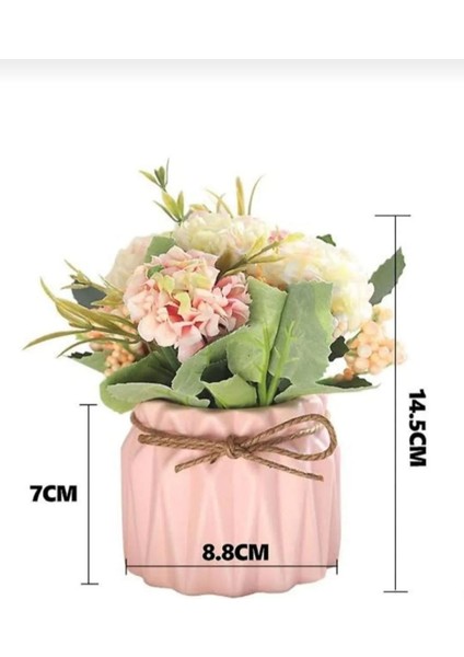 Şeker Renkler Dekoratif, Hediyelik 4'lü Sukulent ve Kaktüs Saksı Seti, Sunumluk fırsatları