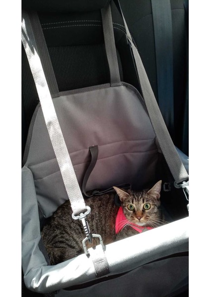 Araç Içi Kedi ve Köpek Taşıma Çantası Fileli