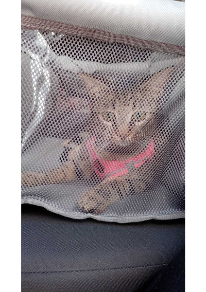 Araç Içi Kedi ve Köpek Taşıma Çantası Fileli