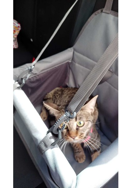 Araç Içi Kedi ve Köpek Taşıma Çantası Fileli