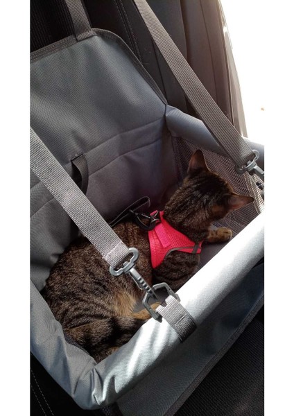 Araç Içi Kedi ve Köpek Taşıma Çantası Fileli