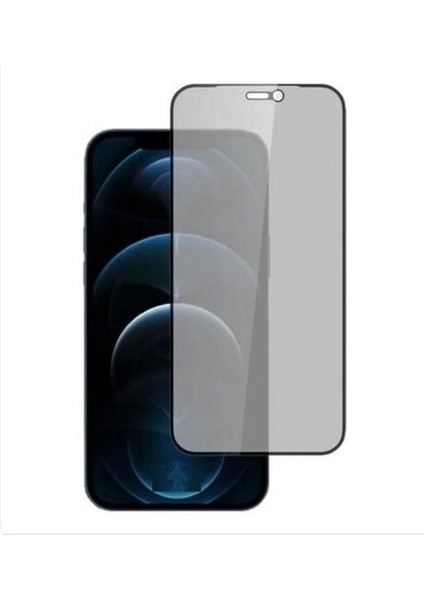 Iphone 12-12 Pro Mat Privacy Nano